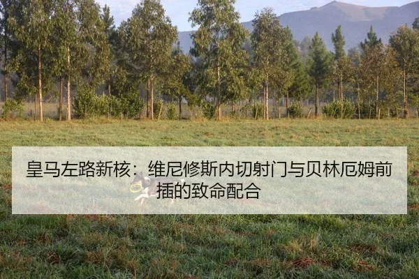 huang-ma-zuo-lu-xin-he-wei-ni-xiu-si-nei-qie-she-men-yu-bei-lin-e-mu-qian-cha-de-zhi-ming-pei-he-2-324.jpg