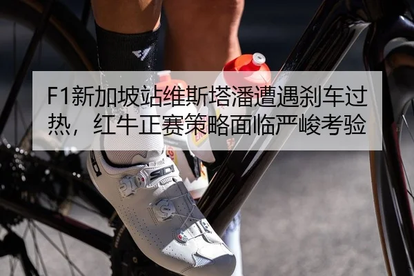 xin-jia-po-zhan-wei-si-ta-pan-zao-yu-sha-che-guo-re-hong-niu-zheng-sai-ce-lve-mian-lin-yan-jun-kao-yan-2-115.jpg